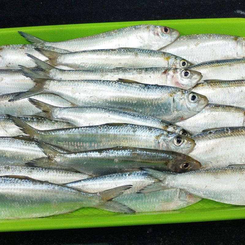 Chaalai (சாளை) - 500gms