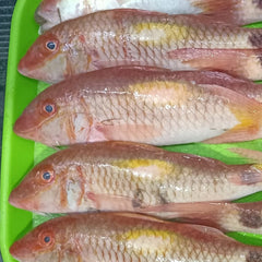 Nagarai (நகரை) - 500gms