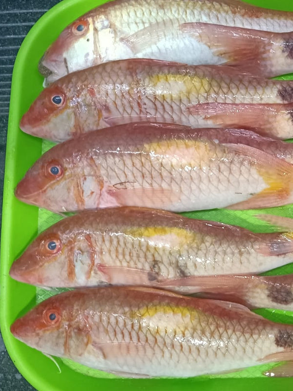 Nagarai (நகரை) - 500gms