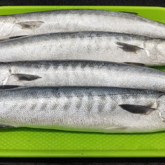 Karuppu Ooli (கருப்பு ஊளி) 500g
