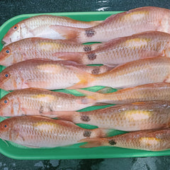 Nagarai (நகரை) - 500gms
