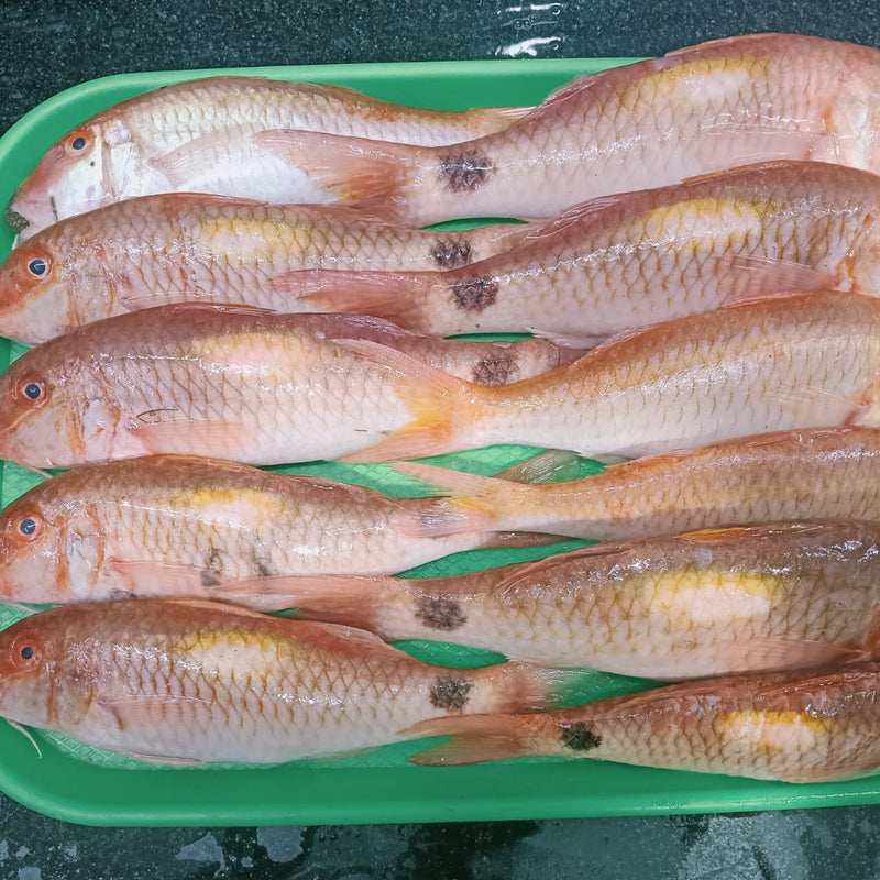 Nagarai (நகரை) - 500gms